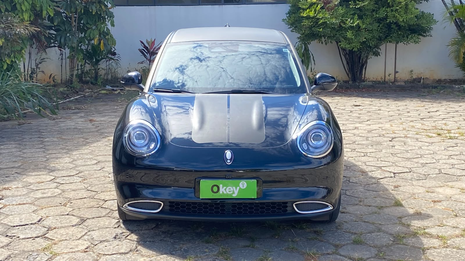 GWM Ora 03 Skin (elétrico) 2024