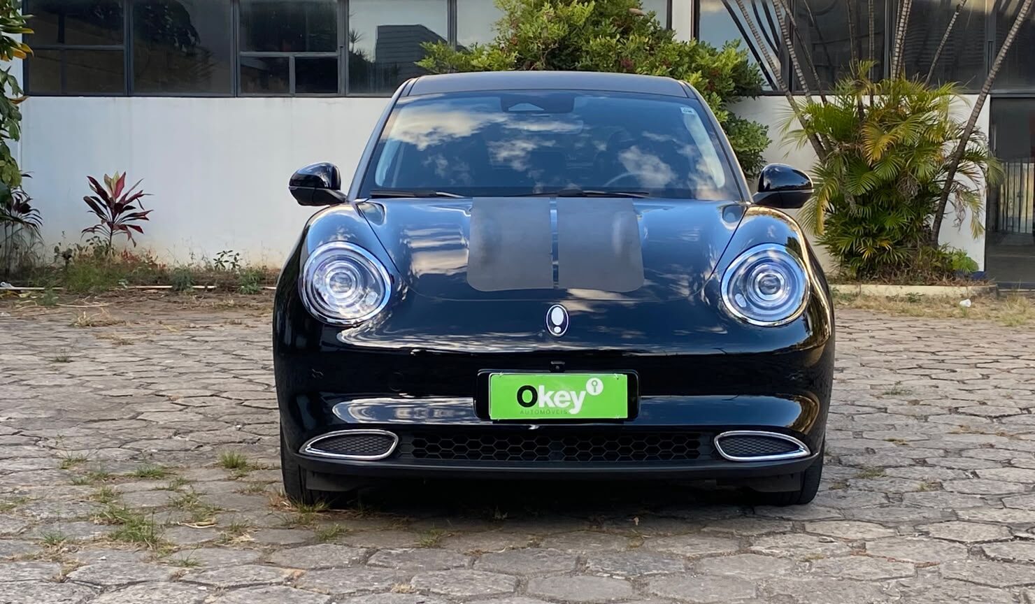 GWM Ora 03 Skin (elétrico) 2024